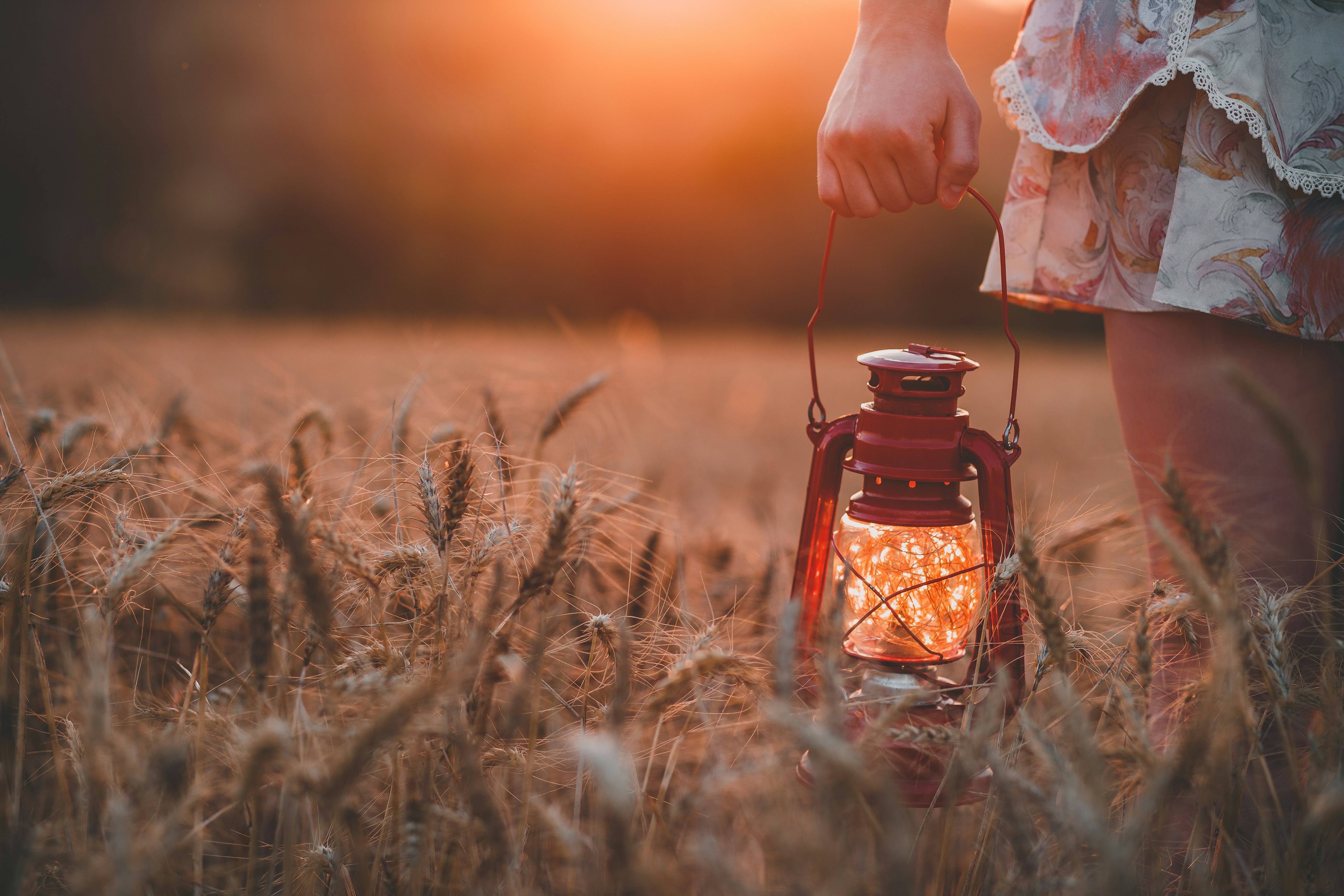 closeup photography of woman wearing floral skirt holding red gas lantern at brown grass field